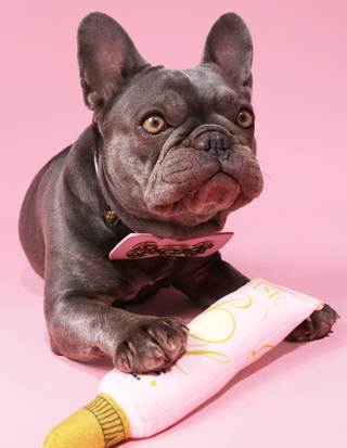 Jouet pour chien P.Louise Base