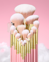 P.Louise manifeste les pinceaux de maquillage magiques