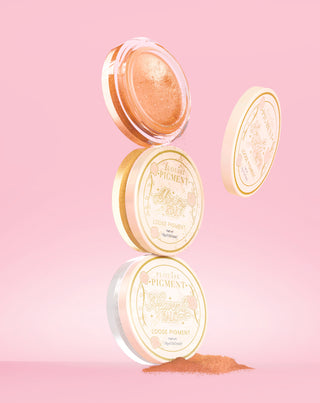 Stardust Secrets Loose Glitter Eyeshadow Pigment Set