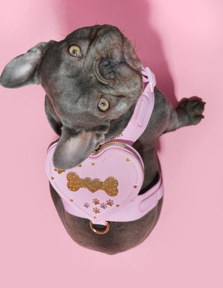 Sac à dos harnais pour chien