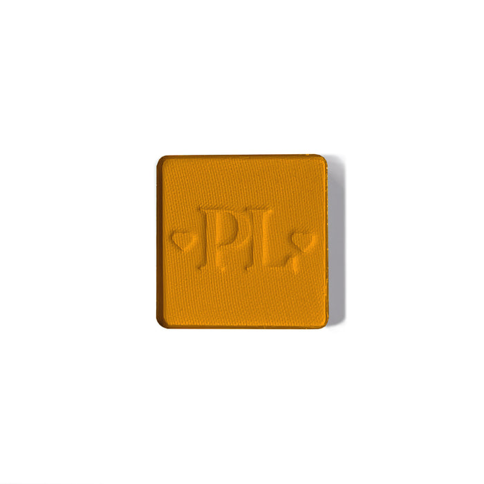 Plateau de fard à paupières simple magnétique Pro