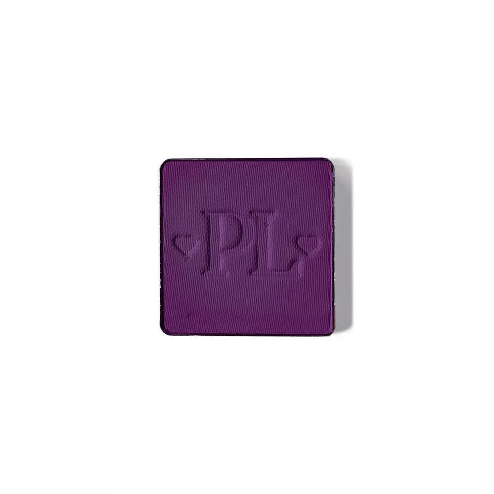 Plateau de fard à paupières simple magnétique Pro
