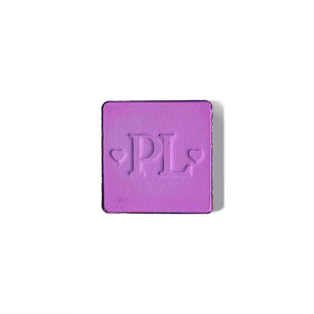 Plateau de fard à paupières simple magnétique Pro
