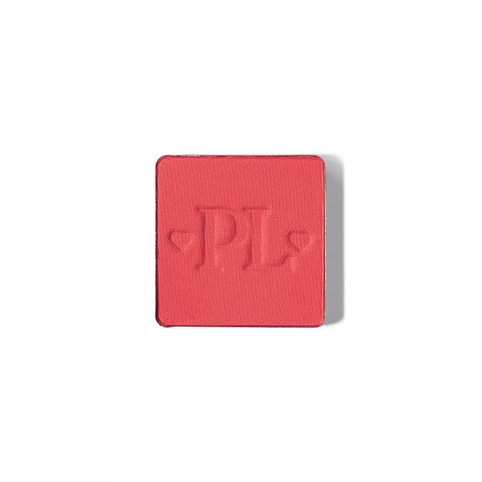Plateau de fard à paupières simple magnétique Pro
