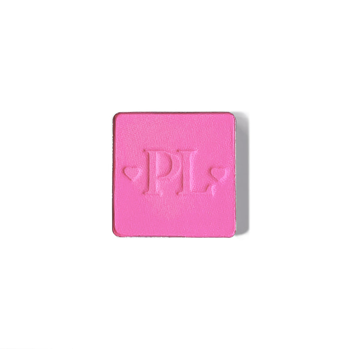 Plateau de fard à paupières simple magnétique Pro