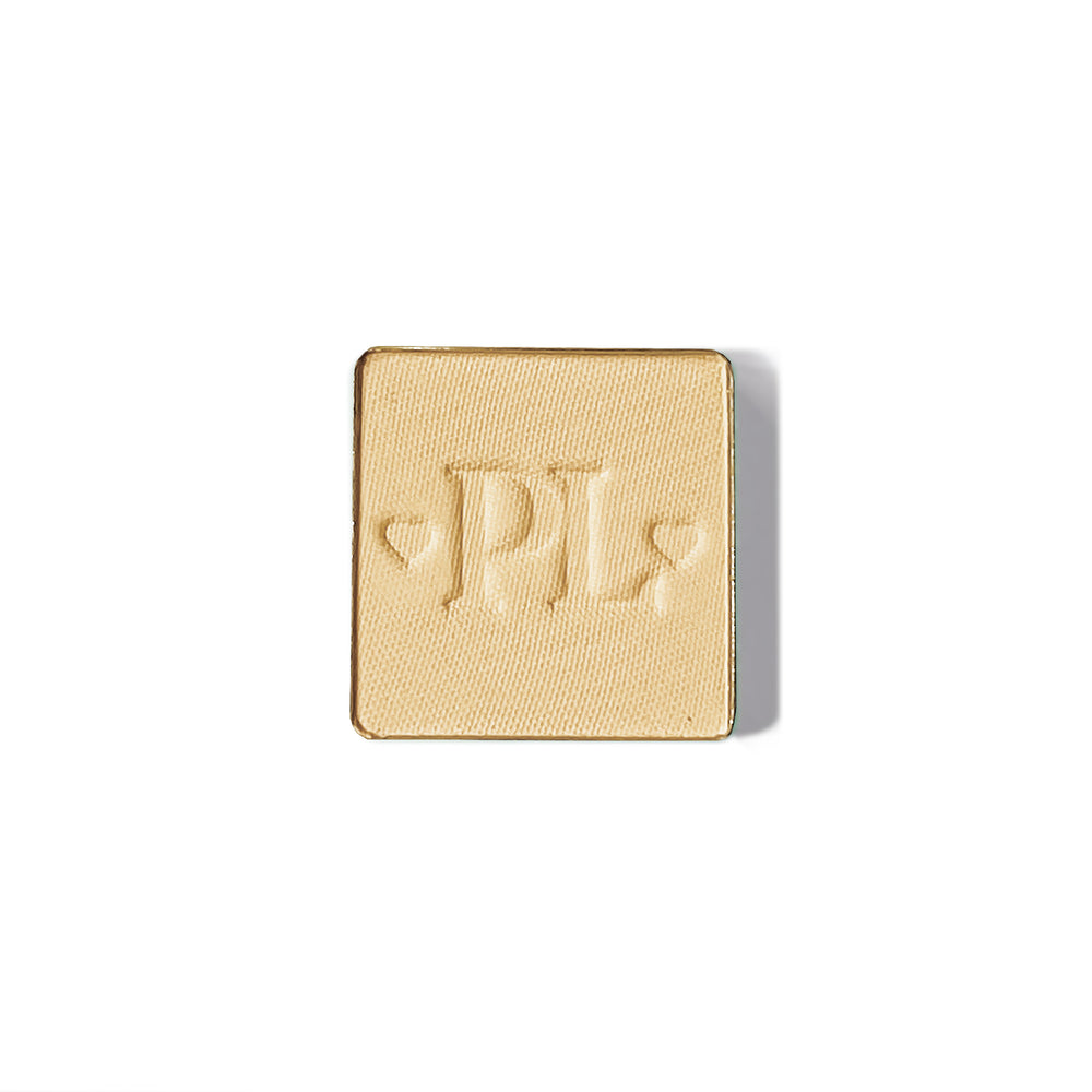 Plateau de fard à paupières simple magnétique Pro