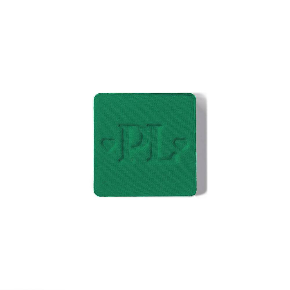 Plateau de fard à paupières simple magnétique Pro