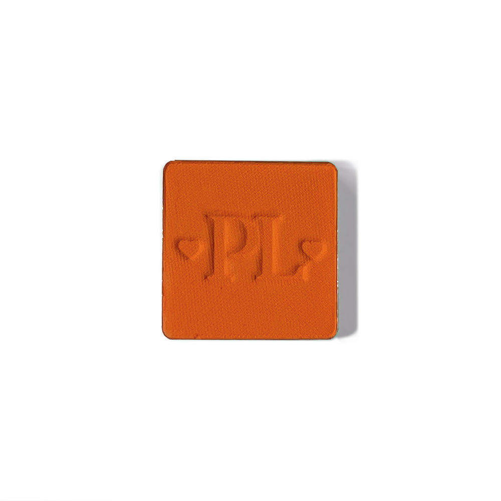 Plateau de fard à paupières simple magnétique Pro