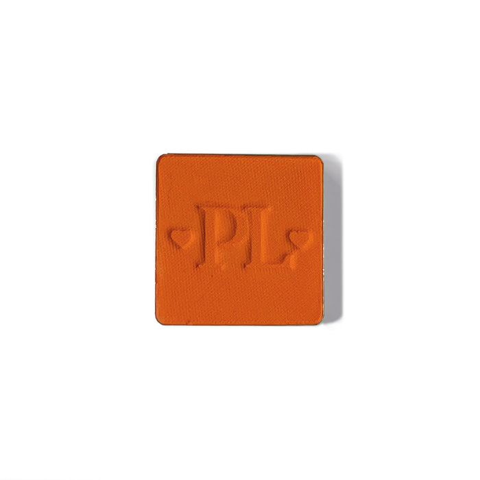 Plateau de fard à paupières simple magnétique Pro