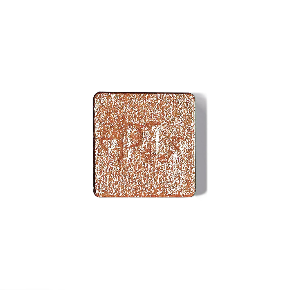 Plateau de fard à paupières simple magnétique Pro