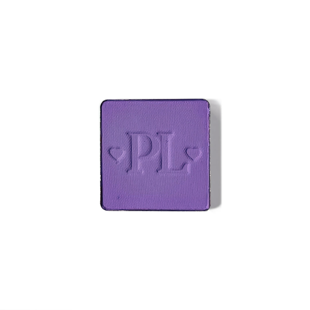 Plateau de fard à paupières simple magnétique Pro