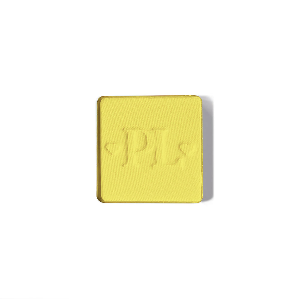 Plateau de fard à paupières simple magnétique Pro