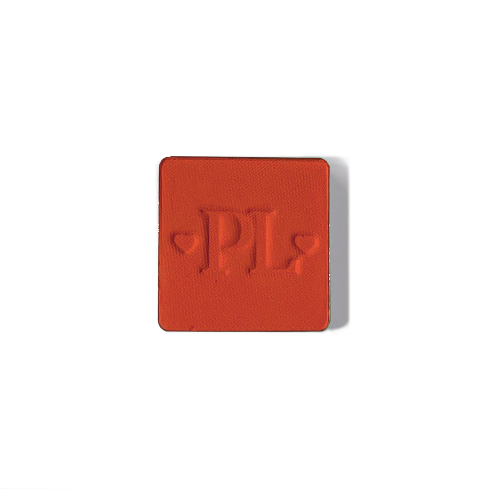 Plateau de fard à paupières simple magnétique Pro